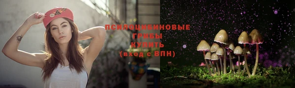 мескалин Алексеевка
