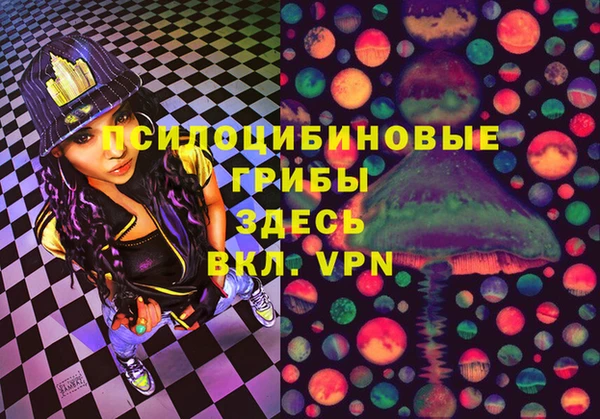 стафф Алексин