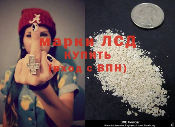 стафф Алексин