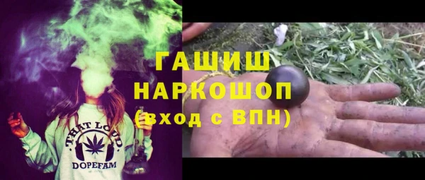 стафф Алексин