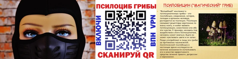 Галлюциногенные грибы Cubensis Волжский
