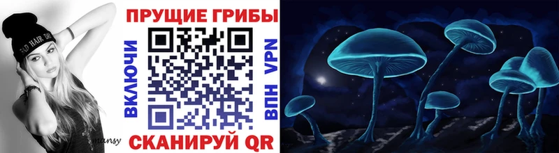 Галлюциногенные грибы GOLDEN TEACHER  закладки  Волжский 